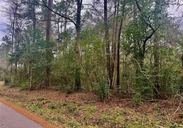 4th image of Tbd Eastwood Ave, Coldspring, TX 77331 | MLS# 92934219