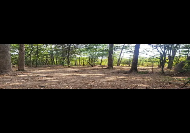 Land for sale at Tbd Bear Holw, Cleveland, TX 77328 | MLS# 10272749
