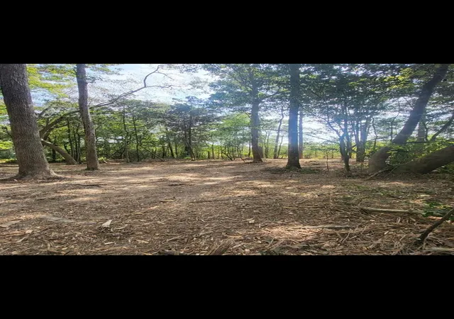 Photo 2 of Land for sale at Tbd Bear Holw, Cleveland, TX 77328 | MLS# 10272749 | Listing updated on 2026-08-26