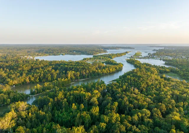 Photo 3 of Land for sale at 2258 Fm 3459, Onalaska, TX 77360 | MLS# 75813128 | Listing updated on 2026-09-01