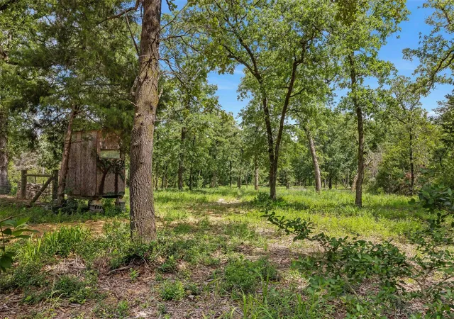 5th image of 3205 County Road 308, Caldwell, TX 77836 | MLS# 81655943