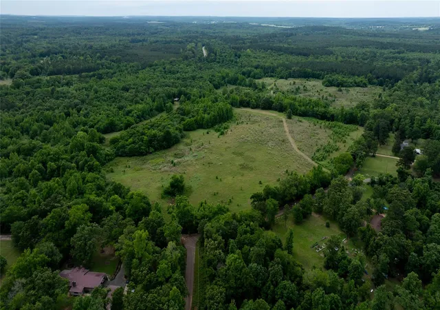 Photo 3 of Land for sale at Lot 1 County Rd 1584, Avinger, TX 75630 | MLS# 20270115 | Listing updated on 2026-09-23