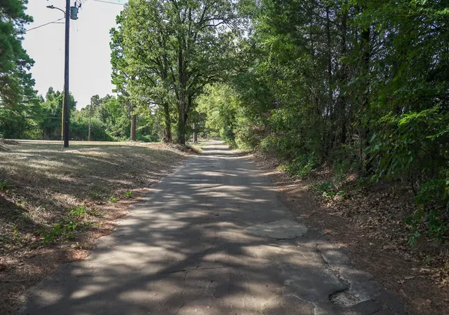 Photo 4 of Land for sale at Lot 1 County Rd 1584, Avinger, TX 75630 | MLS# 20270115 | Listing updated on 2026-09-23