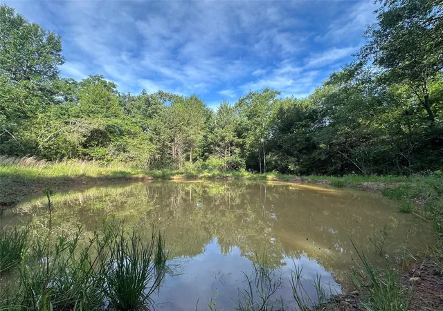 Homes for sale in Donie, TX | 9ac Cr 770, Donie, TX 75838 | MLS# 8755698