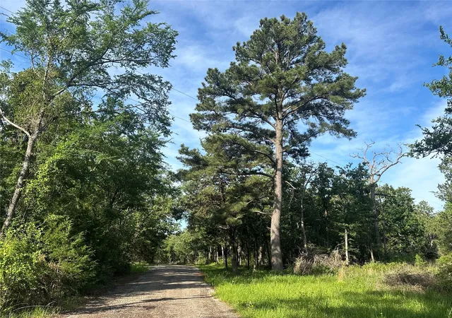 Homes for sale in Donie, TX | 9ac Cr 770, Donie, TX 75838 | MLS# 8755698