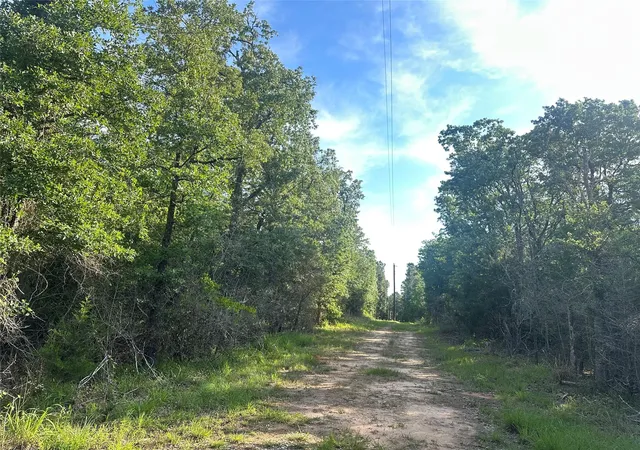 Homes for sale in Donie, TX | 9Ac Cr 770, Donie, TX 75838 | MLS# 8755698