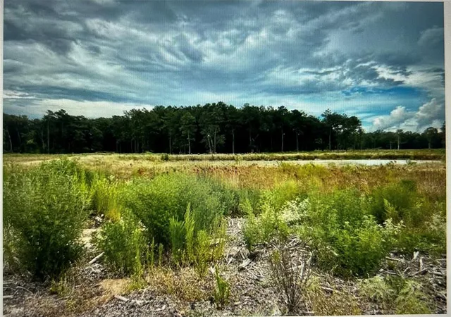 Photo 2 of Land for sale at Tbd Lot 2 County Road 2184, Cleveland, TX 77327 | MLS# 3319780 | Listing updated on 2026-05-20