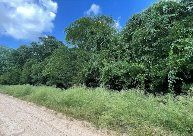 Photo 3 of Land for sale at 0 Laguna Vista Dr, Needville, TX 77461 | MLS# 10234518 | Listing updated on 2026-09-02