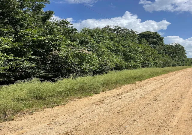 Photo 4 of Land for sale at 0 Laguna Vista Dr, Needville, TX 77461 | MLS# 10234518 | Listing updated on 2026-09-02