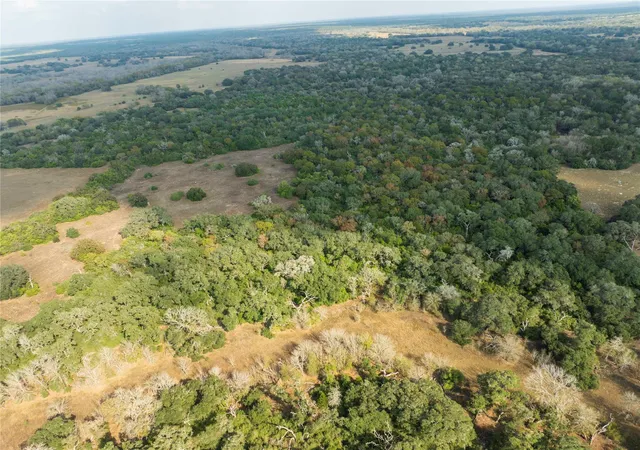 3rd image of Tbd County Road 12, Hallettsville, TX 77964 | MLS# 56519013