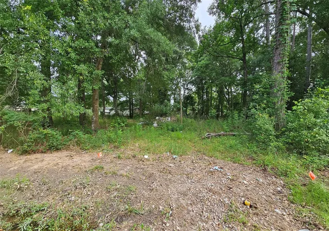 Homes for sale in New Caney, TX | 26750 & 26698 Peach Creek Dr, New Caney, TX 77357 | MLS# 49347751