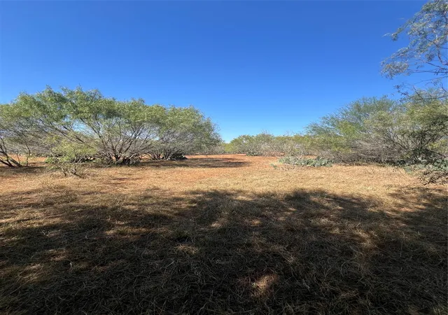6th image of 50 Cr 321 Tract 14, Jourdanton, TX 78026 | MLS# 6822334