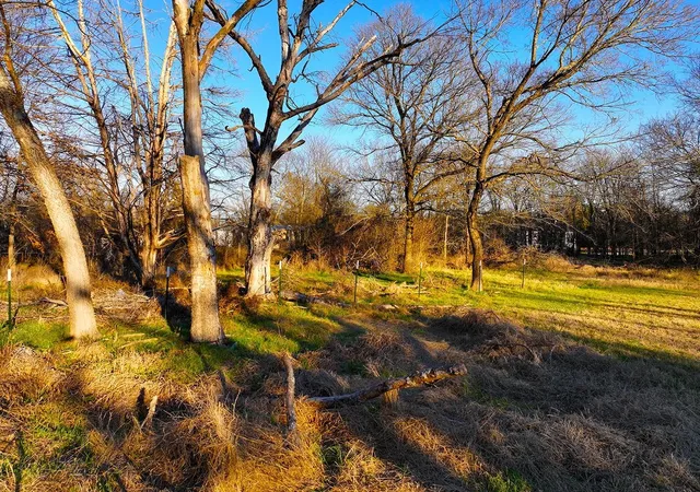 Homes for sale in Purdon, TX | Tbd Ne Cr 3114, Purdon, TX 76679 | MLS# 62811531