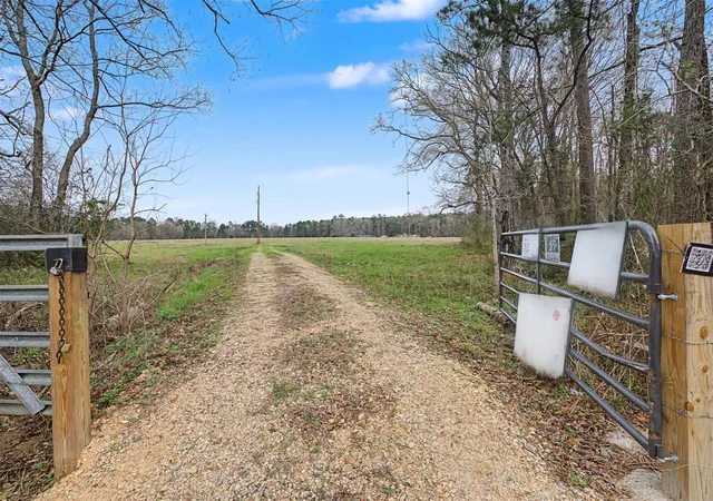 Photo 3 of Land for sale at Tbd 0 Us Hwy 96 S Hwy, San Augustine, TX 75972 | MLS# 17257033 | Listing updated on 2026-08-27