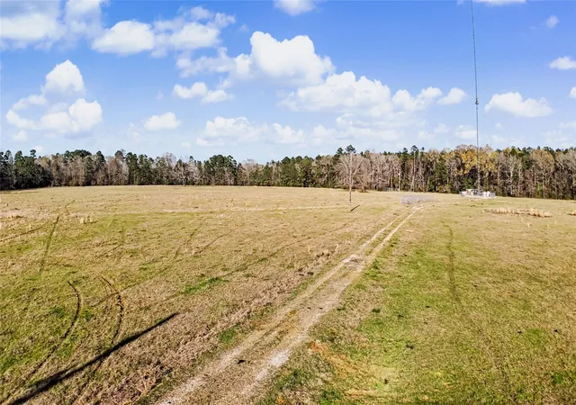 Photo 3 of Land for sale at Tbd 0 Us Hwy 96 S Hwy, San Augustine, TX 75972 | MLS# 17257033 | Listing updated on 2026-08-27