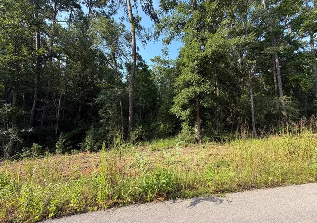 Photo 1 of Land for sale at 210 County Rd 6311, Dayton, TX 77535 | MLS# 83408189 | Listing updated on 2026-06-22