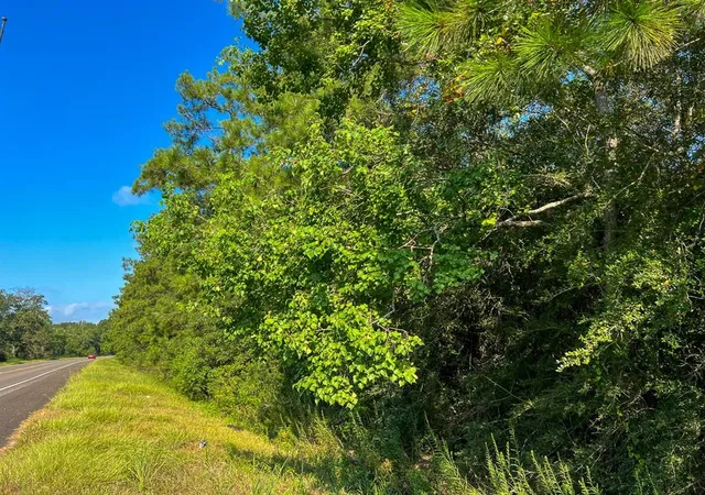 Photo 3 of Land for sale at 2 Fm 2802, Vidor, TX 77662 | MLS# 19532112 | Listing updated on 2026-08-06