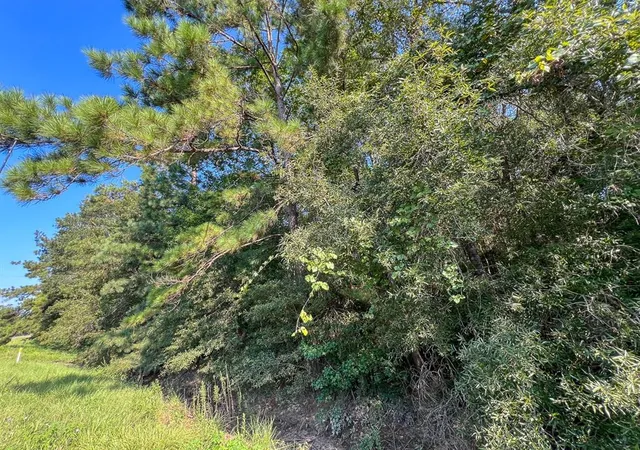 Photo 4 of Land for sale at 2 Fm 2802, Vidor, TX 77662 | MLS# 19532112 | Listing updated on 2026-08-06