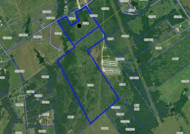 Photo 2 of Land for sale at Tbd Lcr 748, Thornton, TX 76687 | MLS# 47060046 | Listing updated on 2026-07-30