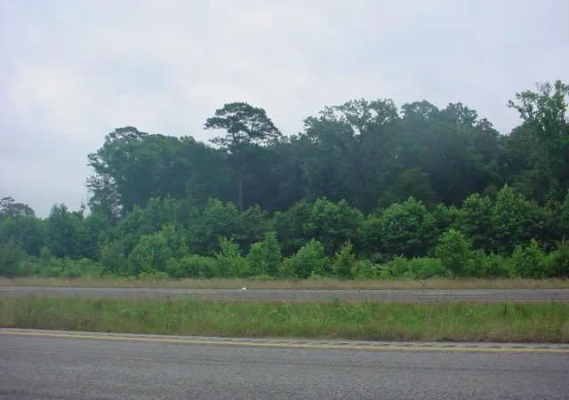 Photo 3 of Land for sale at 000 Hwy 59 N, Shepherd, TX 77371 | MLS# 45114266 | Listing updated on 2025-09-09