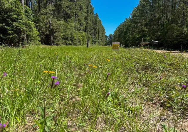 12th image of 1131 Big Woods Road, New Waverly, TX 77358 | MLS# 28153160