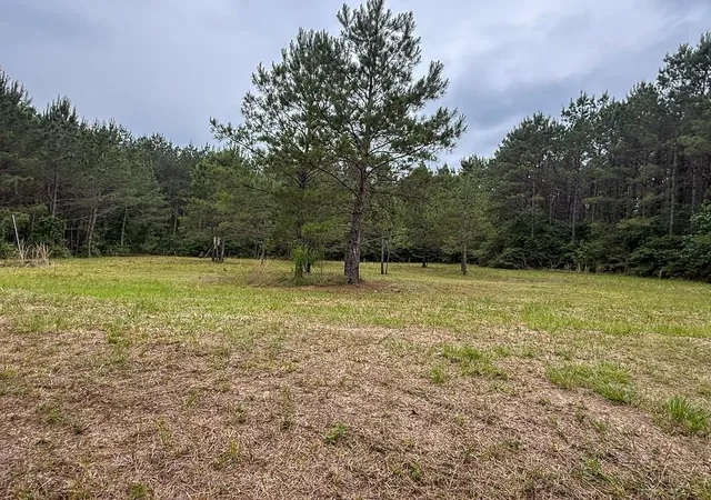 1st image of 1131 Big Woods Road, New Waverly, TX 77358 | MLS# 28153160