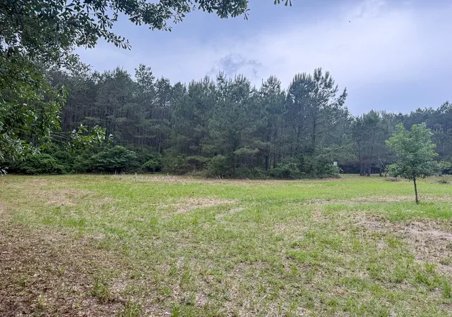 3rd image of 1131 Big Woods Road, New Waverly, TX 77358 | MLS# 28153160
