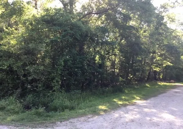Photo 1 of Land for sale at 000 Brk Tree, Livingston, TX 77351 | MLS# 95255926 | Listing updated on 2026-09-25