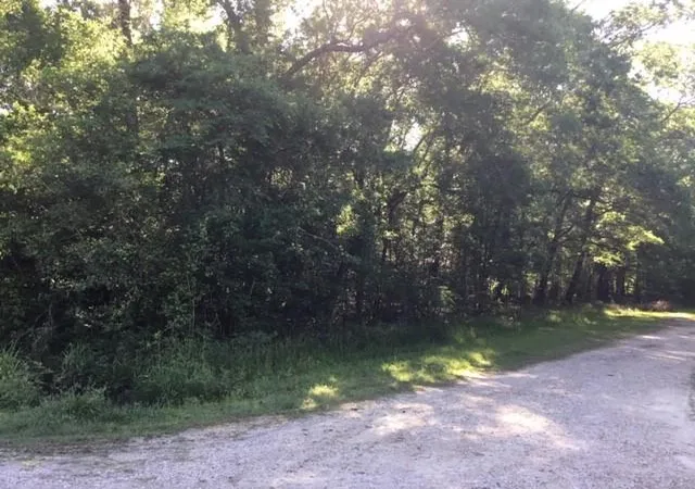Photo 2 of Land for sale at 000 Brk Tree, Livingston, TX 77351 | MLS# 95255926 | Listing updated on 2026-09-25