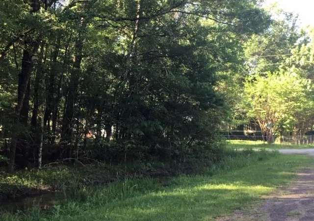 Photo 3 of Land for sale at 000 Brk Tree, Livingston, TX 77351 | MLS# 95255926 | Listing updated on 2026-09-25