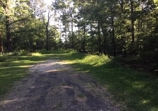 Photo 3 of Land for sale at 000 Brk Tree, Livingston, TX 77351 | MLS# 95255926 | Listing updated on 2026-09-25