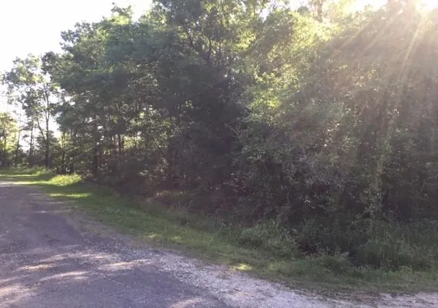 Photo 4 of Land for sale at 000 Brk Tree, Livingston, TX 77351 | MLS# 95255926 | Listing updated on 2026-09-25