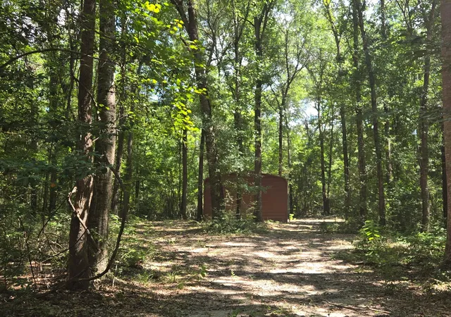 Photo 2 of Land for sale at 9 Bridges Rd, Corrigan, TX 75939 | MLS# 13256244 | Listing updated on 2026-08-05