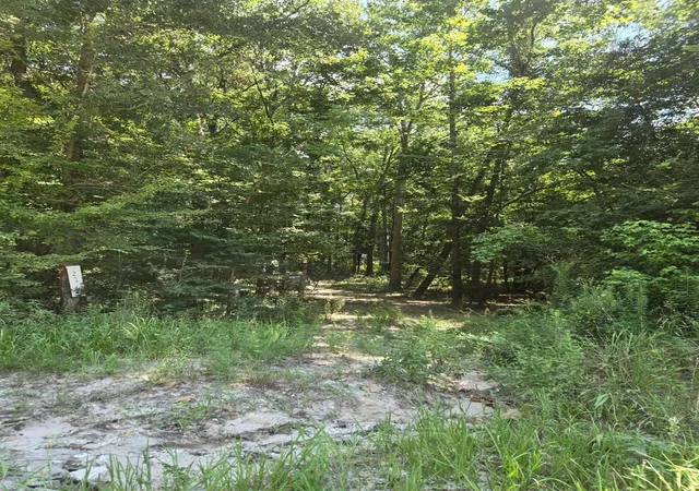 Photo 4 of Land for sale at 9 Bridges Rd, Corrigan, TX 75939 | MLS# 13256244 | Listing updated on 2026-08-05