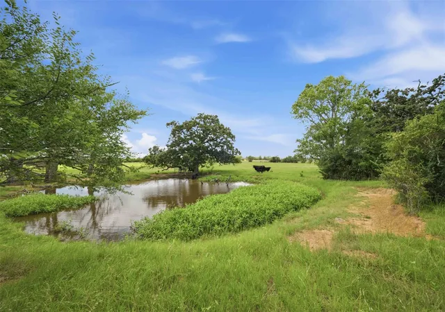image of Tract 6 Holly Cemetery Rd, Franklin, TX 77856 | MLS# 93278049