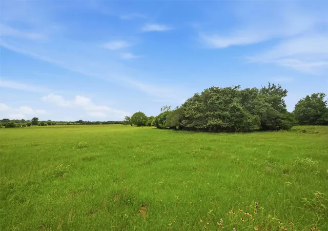 image of Tract 6 Holly Cemetery Rd, Franklin, TX 77856 | MLS# 93278049