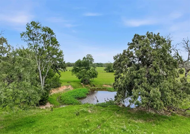 7th image of Tract 6 Holly Cemetery Rd, Franklin, TX 77856 | MLS# 93278049