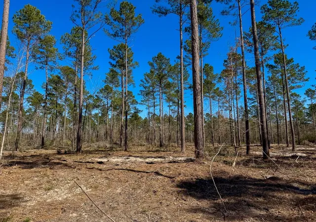 Photo 1 of Land for sale at 02 Boontown Rd, Trinity, TX 75845 | MLS# 27540855 | Listing updated on 2026-07-29