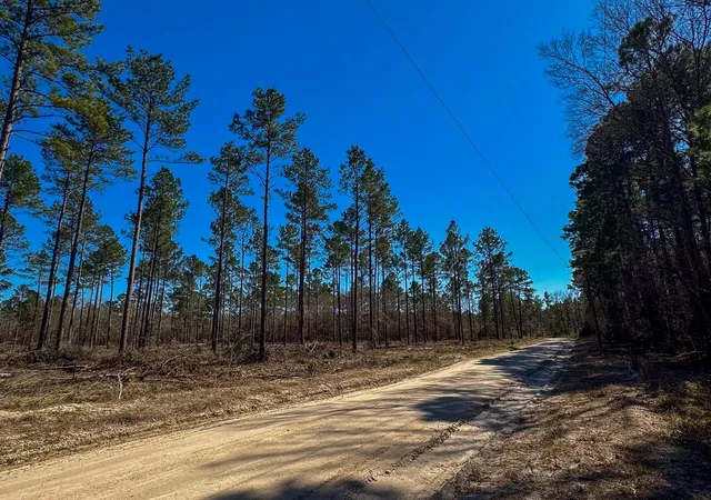 Photo 2 of Land for sale at 02 Boontown Rd, Trinity, TX 75845 | MLS# 27540855 | Listing updated on 2026-07-29