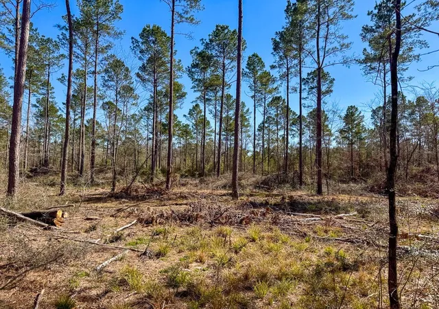 Photo 3 of Land for sale at 02 Boontown Rd, Trinity, TX 75845 | MLS# 27540855 | Listing updated on 2026-07-29