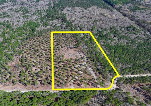 Photo 4 of Land for sale at 02 Boontown Rd, Trinity, TX 75845 | MLS# 27540855 | Listing updated on 2026-07-29