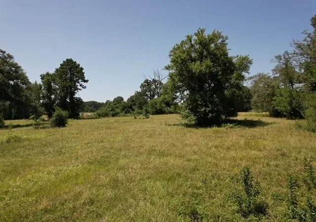 11th image of 882 Jones Rd, New Waverly, TX 77358 | MLS# 35646527