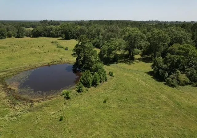 1st image of 882 Jones Rd, New Waverly, TX 77358 | MLS# 35646527