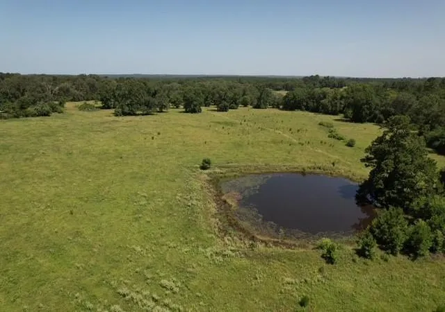 2nd image of 882 Jones Rd, New Waverly, TX 77358 | MLS# 35646527