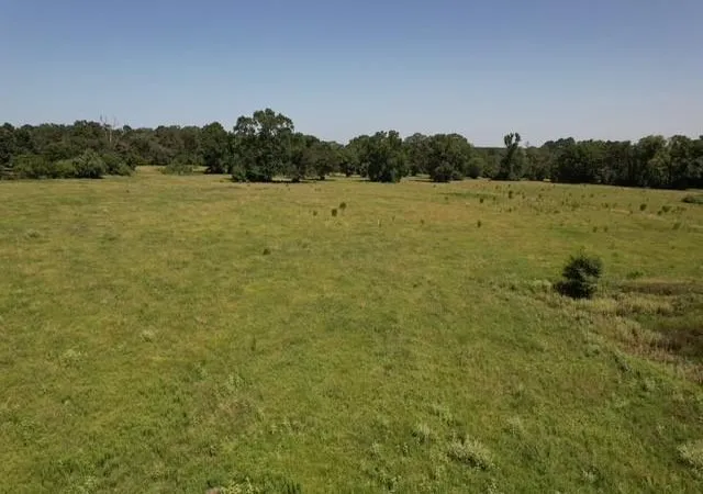 Photo 3 of Land for sale at 882 Jones Rd, New Waverly, TX 77358 | MLS# 35646527 | Listing updated on 2026-09-11