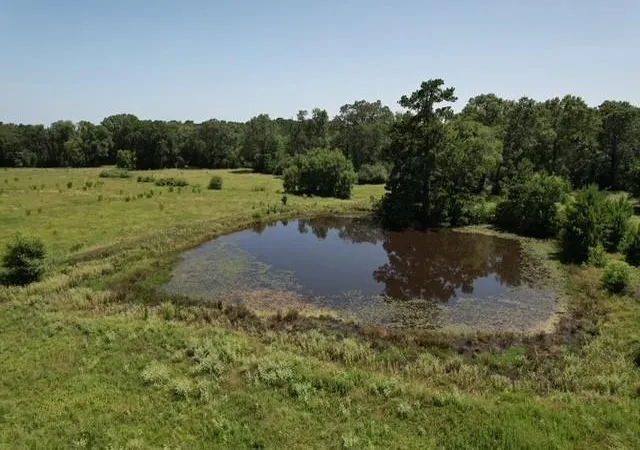 Photo 3 of Land for sale at 882 Jones Rd, New Waverly, TX 77358 | MLS# 35646527 | Listing updated on 2026-09-11