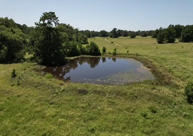 Photo 4 of Land for sale at 882 Jones Rd, New Waverly, TX 77358 | MLS# 35646527 | Listing updated on 2026-09-11