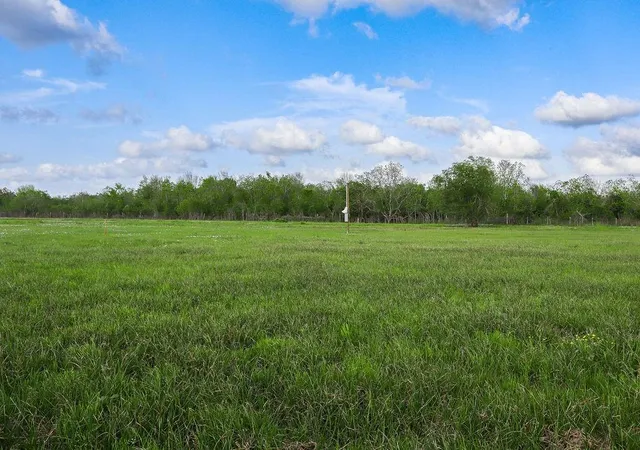 Photo 4 of Land for sale at 1115 E Fm 1462 Rd, Rosharon, TX 77583 | MLS# 66121547 | Listing updated on 2026-06-13