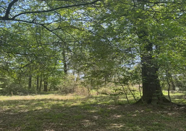 Photo 1 of Land for sale at 668 County Rd 647, Dayton, TX 77535 | MLS# 4554136 | Listing updated on 2026-05-16