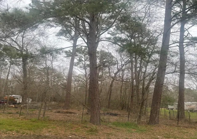 Photo 2 of Land for sale at 668 County Rd 647, Dayton, TX 77535 | MLS# 4554136 | Listing updated on 2026-05-16